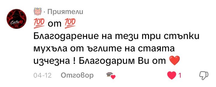 Коментар: Благодарение на тези три стъпки мухъла от ъглите на стаята изчезна!